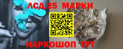 гидропоника Краснознаменск