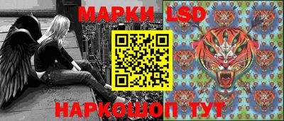 гидропоника Краснознаменск