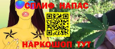 гидропоника Краснознаменск