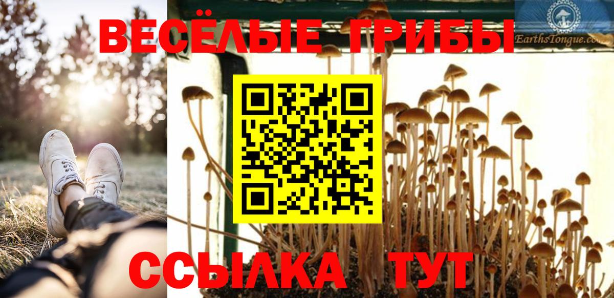 Железноводск  Галлюциногенные грибы Psilocybine cubensis  Вход с VPN  Псилоцибиновые грибы прущие грибы 